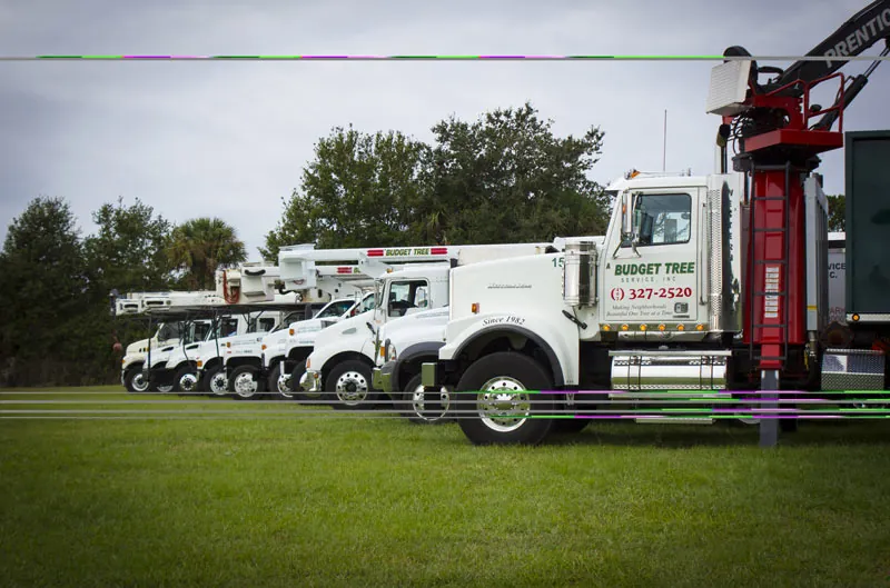 A Budget Tree Service serving Orlando and surrounding areas