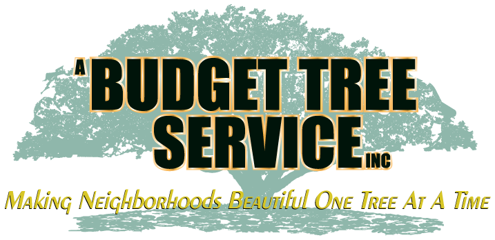 A Budget Tree Service, Inc Logo