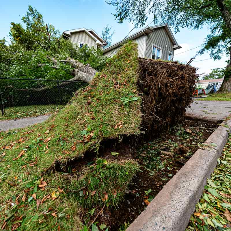 Defensible Space Brush Chipping & Debris Removal Program