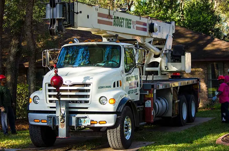 A Budget Tree Service serving Orlando and surrounding areas