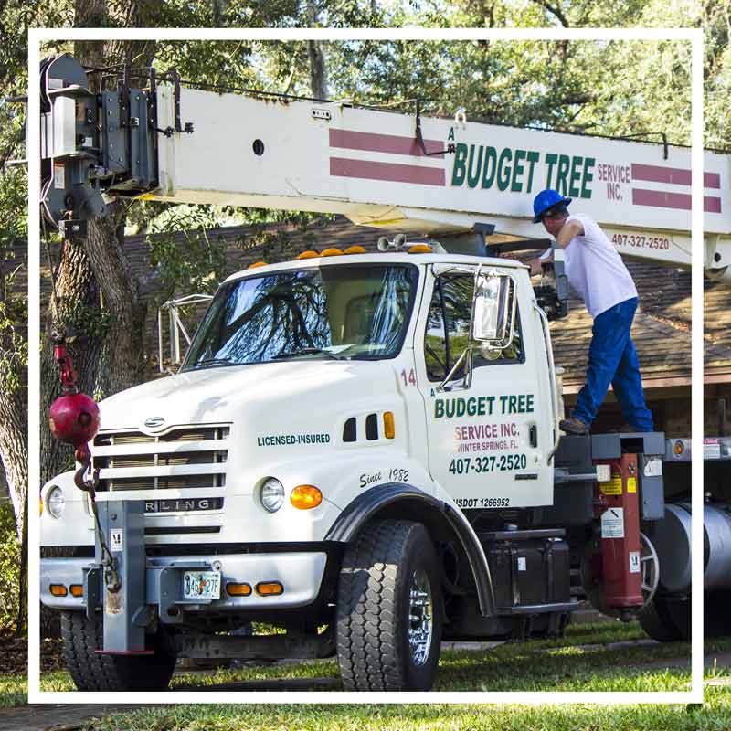 A budget tree service crane with employee standing on side