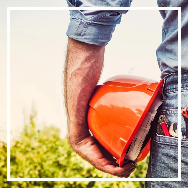 Free Tree Service Estimate