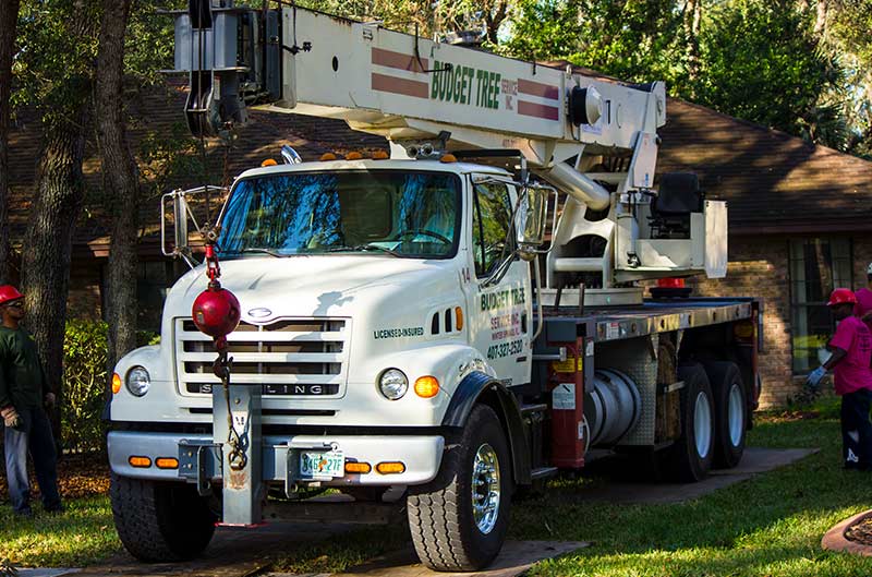 A Budget Tree Service Crane in Orlando, FL