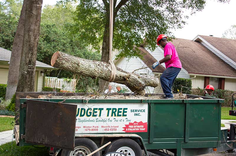 Service Truck at A Budget Tree Service Inc. in Orland, FL