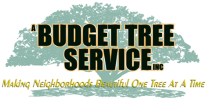 Logo of Better Tree Service
