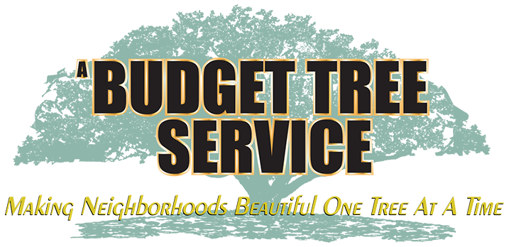 A Budget Tree Service