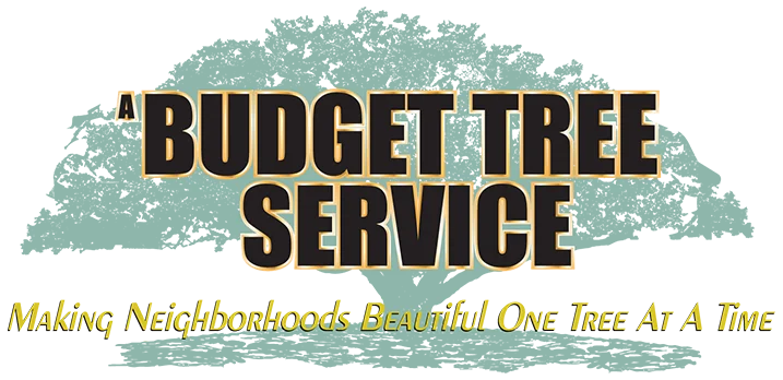 A Budget Tree Service