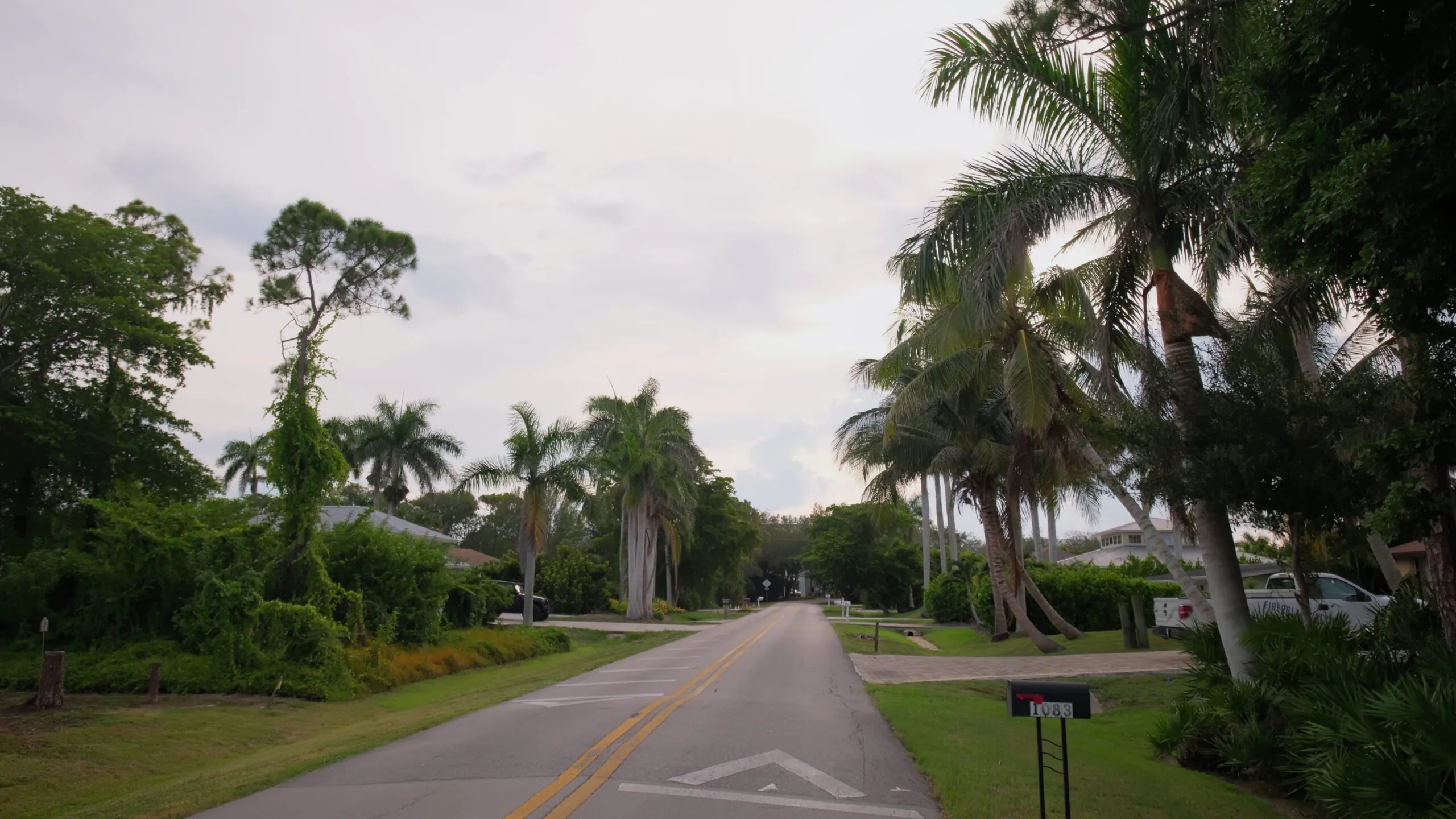 A Budget Tree Service serving Orlando and surrounding areas